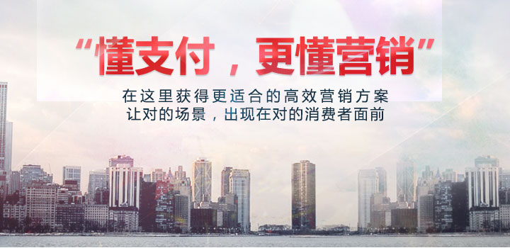 懂支付, 更懂营销